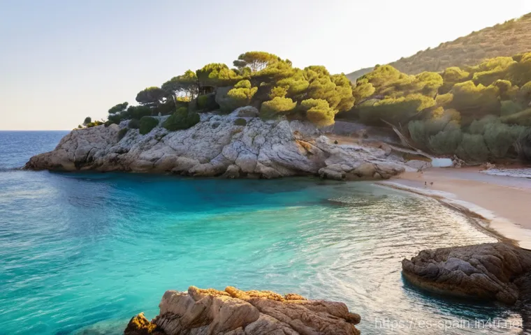이비자와 마요르카 여행 정보 - **Prompt:** "A serene and mystical morning on a secluded cove in northern Ibiza. The first light of ...
