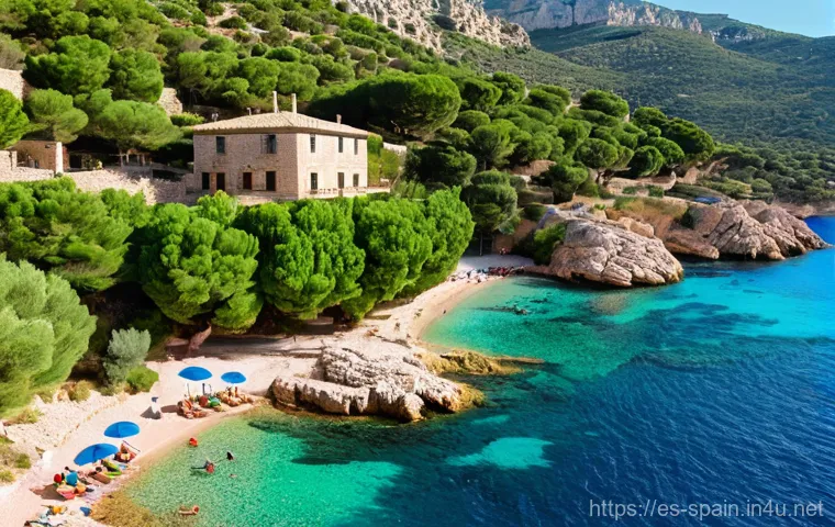 이비자와 마요르카 여행 정보 - **Prompt:** "A serene and mystical morning on a secluded cove in northern Ibiza. The first light of ...